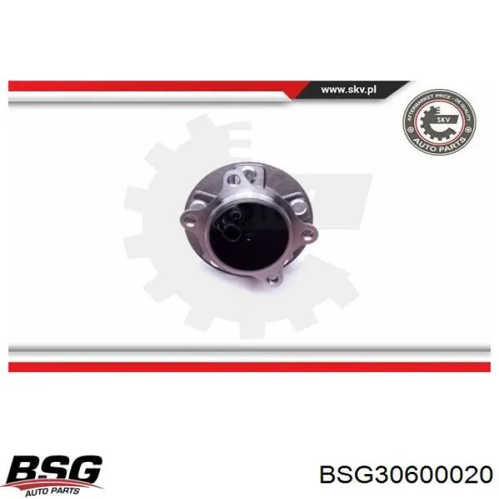 BSG 30-600-020 BSG cubo de rueda trasero