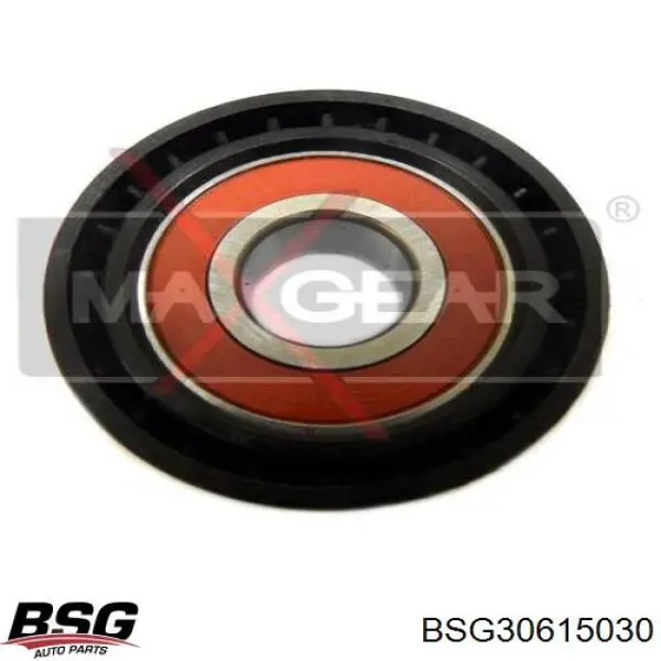 BSG 30-615-030 BSG tensor de correa, correa poli v