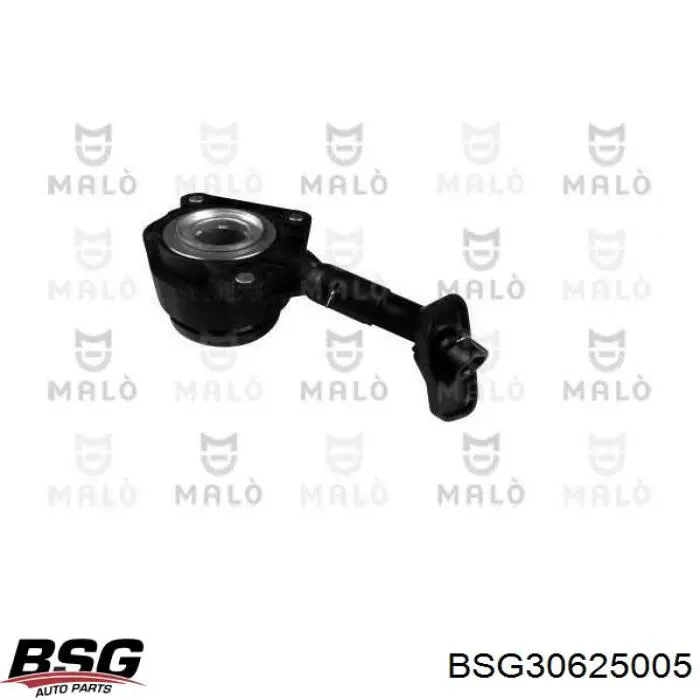 BSG30625005 BSG Desembrague central, embrague