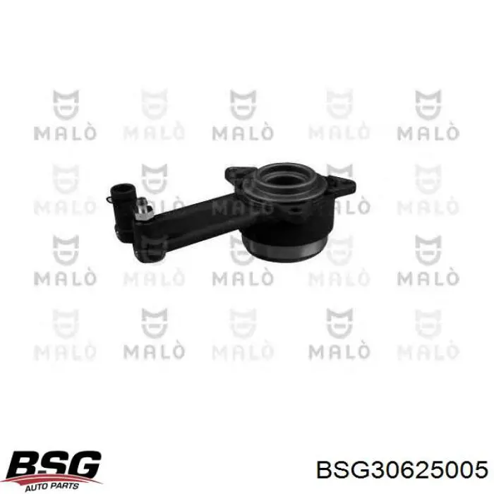 Desembrague central, embrague (cojinete de desembrague) BSG BSG30625005 precio, desde 37,51 EUR