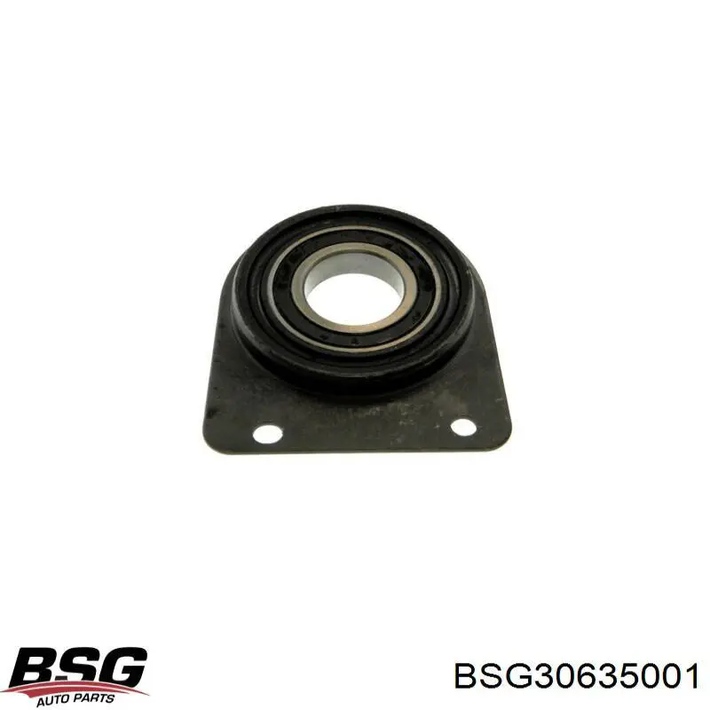 Soporte de rodamiento intermedio del semieje delantero BSG30635001 BSG