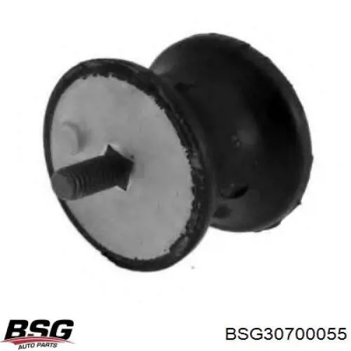 BSG 30-700-055 BSG montaje de transmision (montaje de caja de cambios)