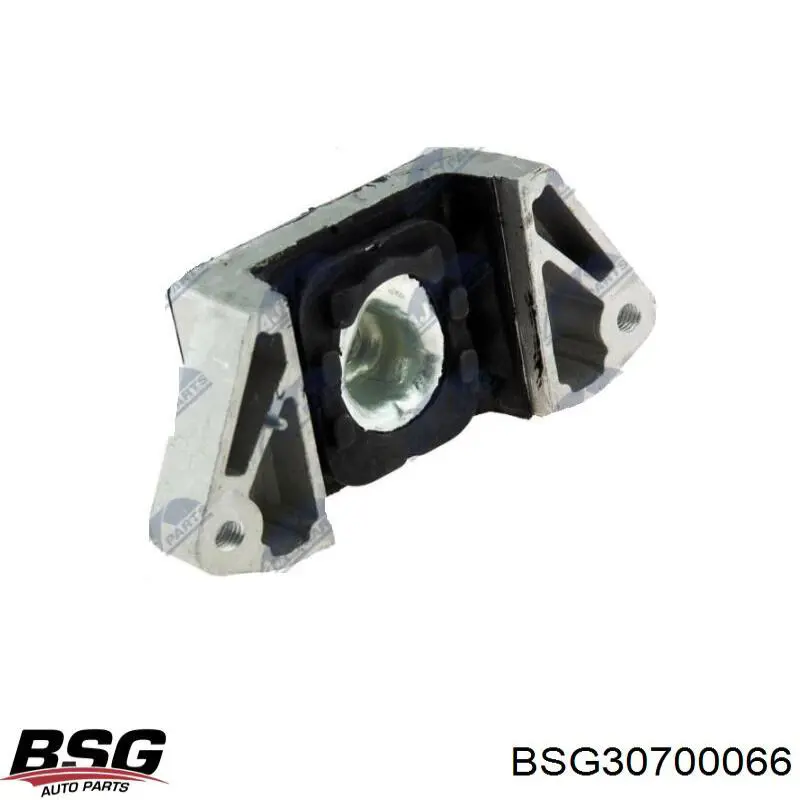BSG 30-700-066 BSG montaje de transmision (montaje de caja de cambios)