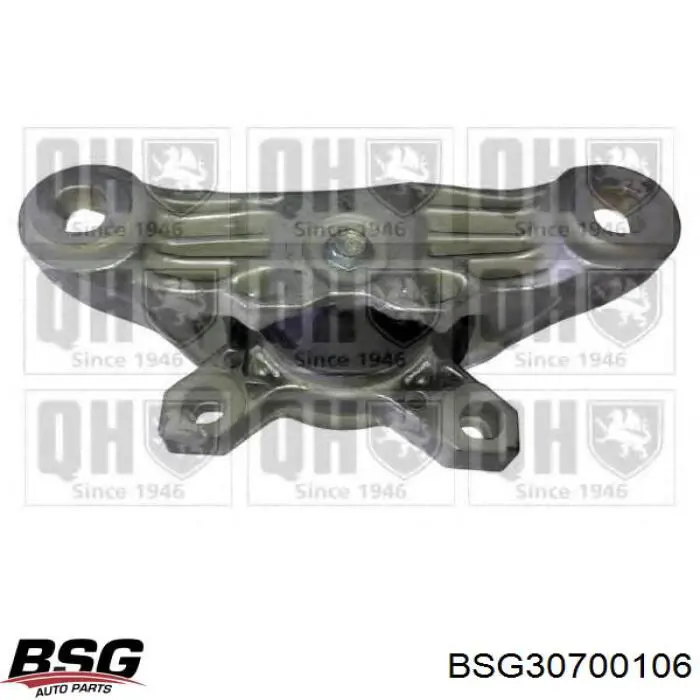 Soporte de motor derecho BSG30700106 BSG