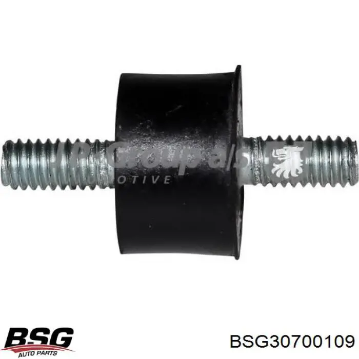 BSG 30-700-109 BSG intercooler de tubo amortiguador