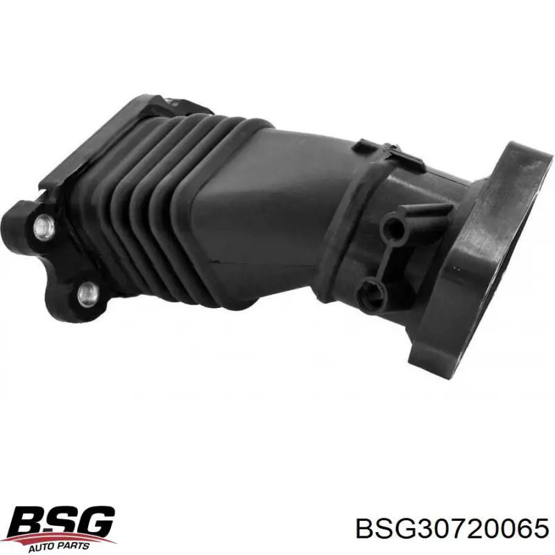 Tubo de admisión del cuerpo de mariposa BSG BSG30720065 precio, desde 37,07 EUR