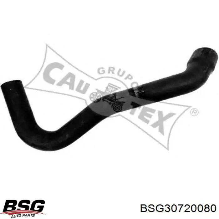 BSG 30-720-080 BSG tubo flexible de aire de sobrealimentación izquierdo