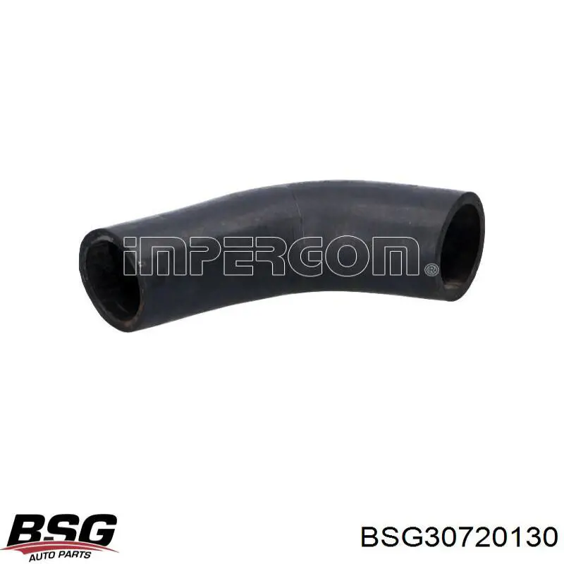 BSG 30-720-130 BSG tubo flexible de aire de sobrealimentación inferior izquierdo