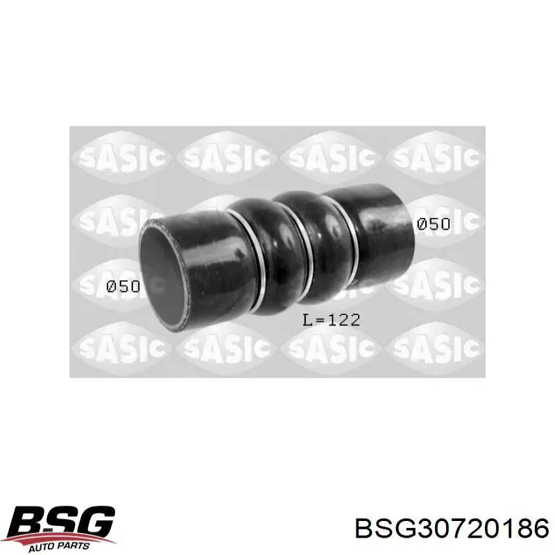 BSG 30-720-186 BSG tubo flexible de aire de sobrealimentación inferior izquierdo