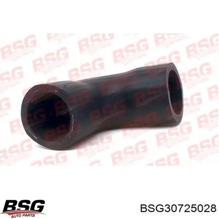 BSG 30-725-028 BSG tubo (manguera Para Drenar El Aceite De Una Turbina)