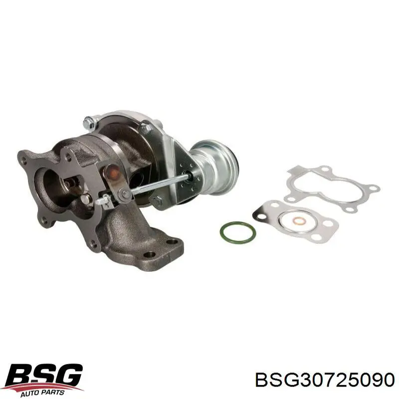 BSG 30-725-090 BSG tubo (manguera Para El Suministro De Aceite A La Turbina)
