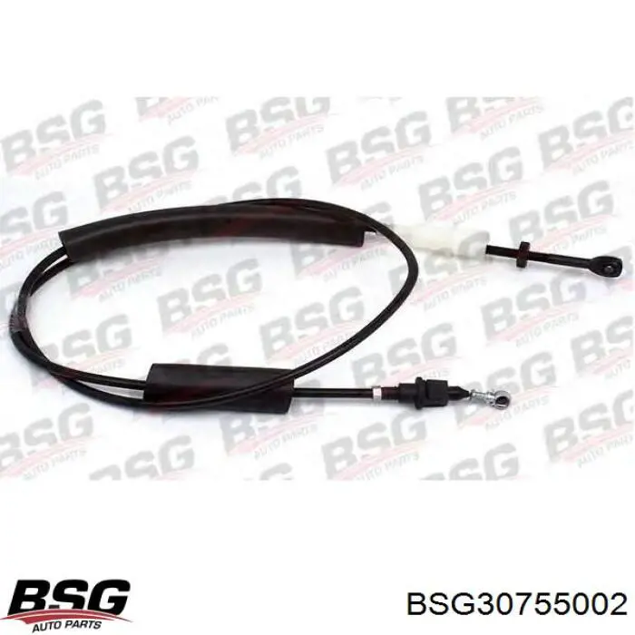 BSG 30-755-002 BSG cable del acelerador