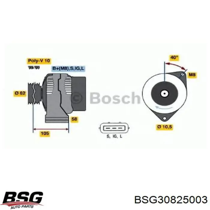BSG30825003 BSG alternador