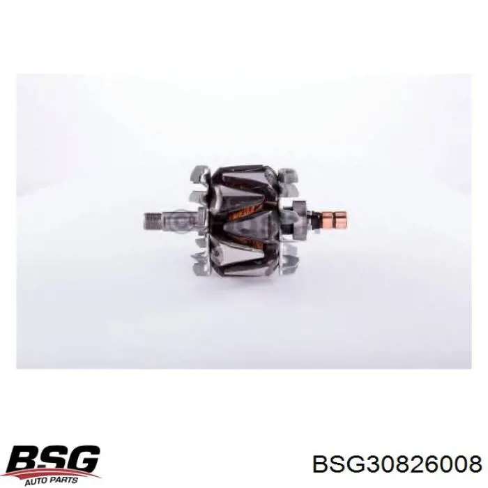 BSG 30-826-008 BSG rotor, alternador