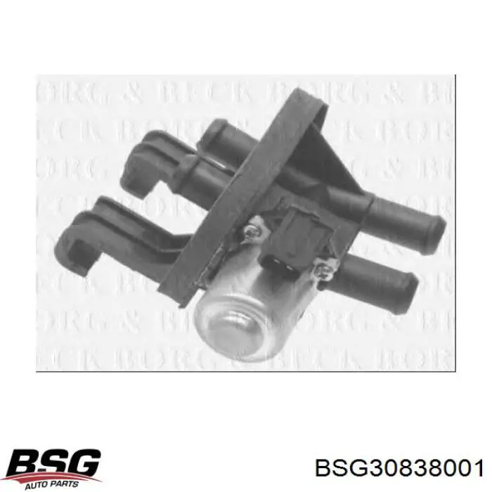 Válvula de calefacción BSG BSG30838001