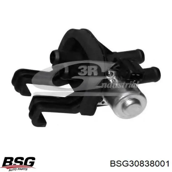 BSG30838001 BSG grifo de estufa (calentador)