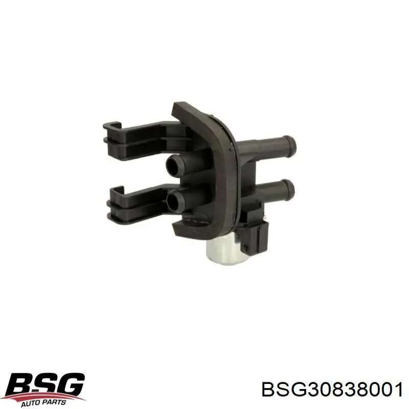 Válvula calefacción BSG30838001 BSG