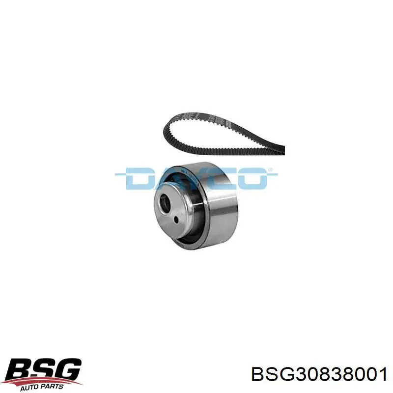 BSG30838001 BSG Valvula del calefactor
