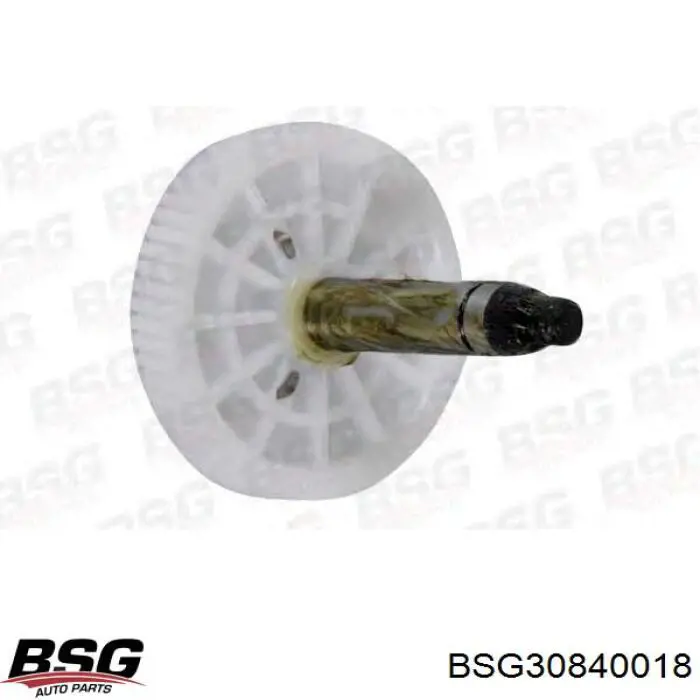 BSG 30-840-018 BSG motor del limpiaparabrisas del parabrisas