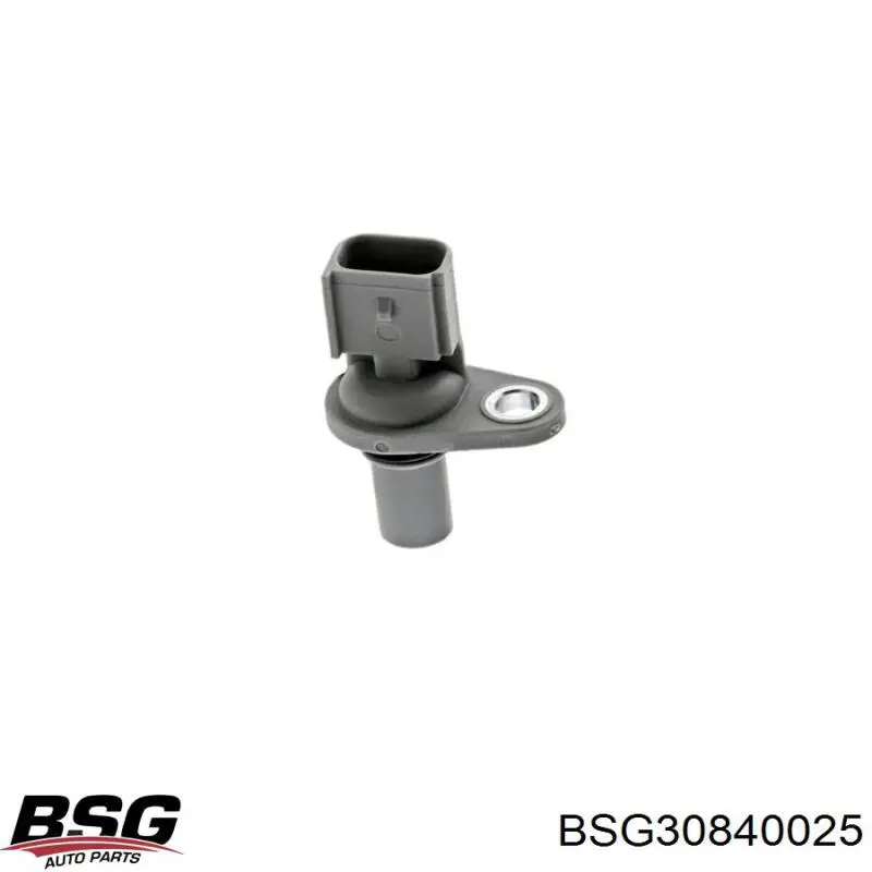 Sensor de posición del árbol de levas Ford Mondeo 3 BWY
