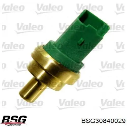 Sensor de temperatura del refrigerante Ford Fiesta JH, JD