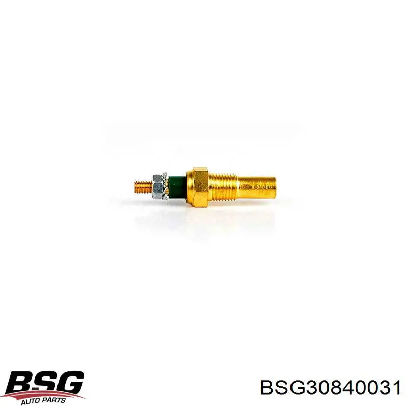 BSG30840031 BSG sensor de temperatura del refrigerante