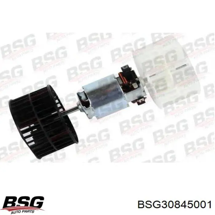 Comprar BSG30845001 BSG Motor de calefacción