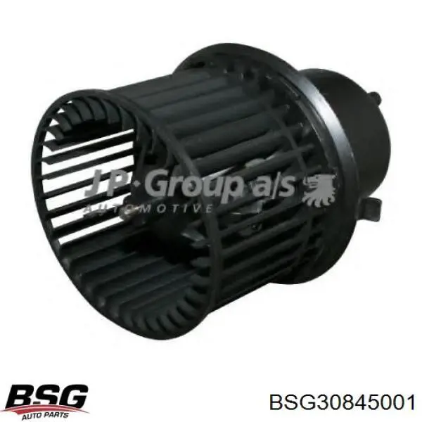 BSG 30-845-001 BSG ventilador habitáculo