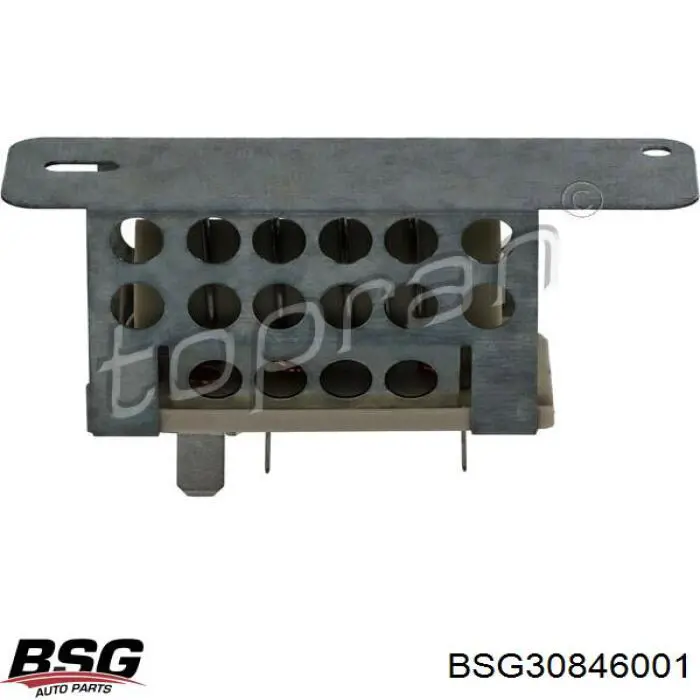 BSG 30-846-001 BSG resistencia de calefacción