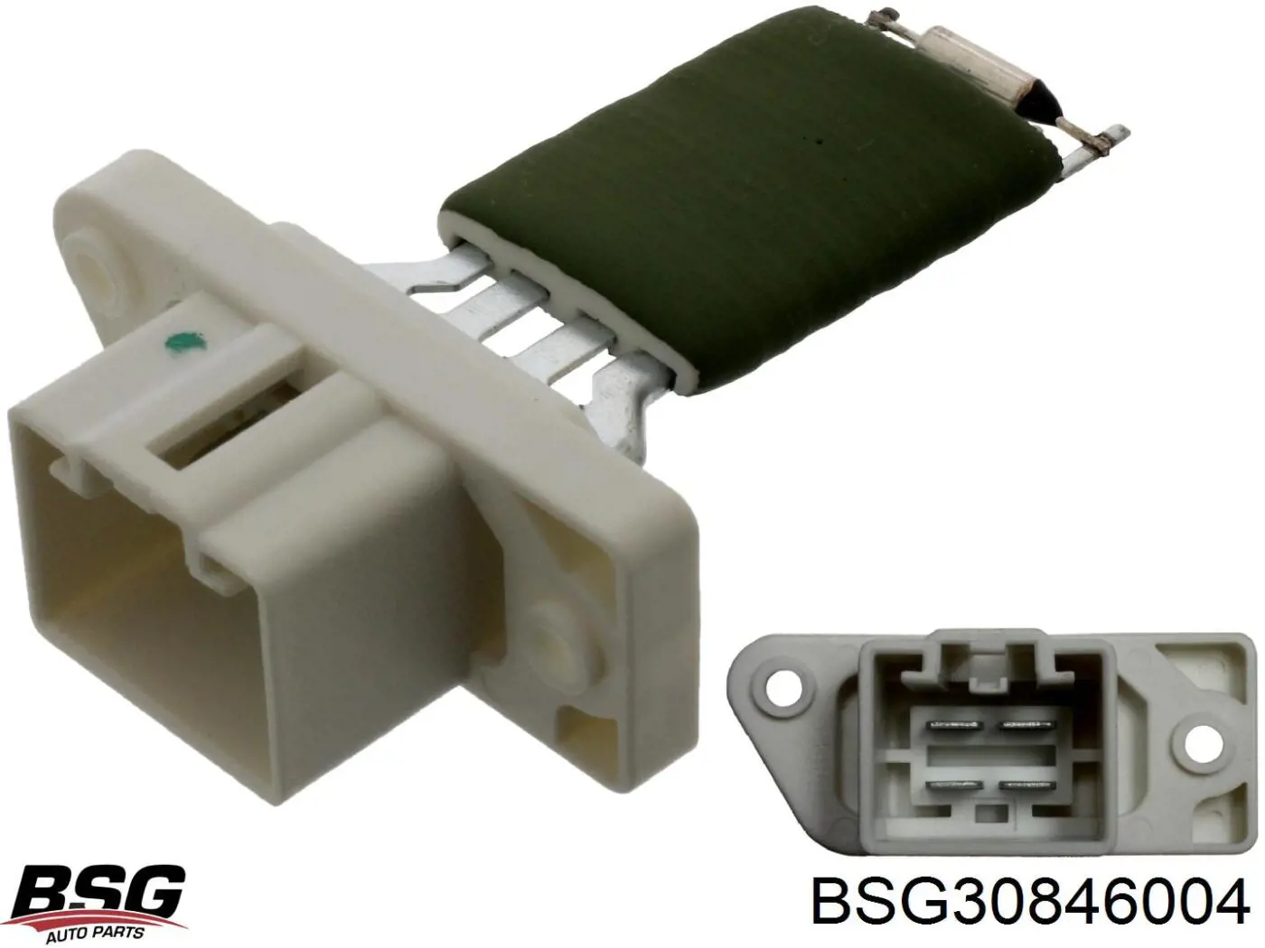 BSG30846004 BSG resistencia de calefacción