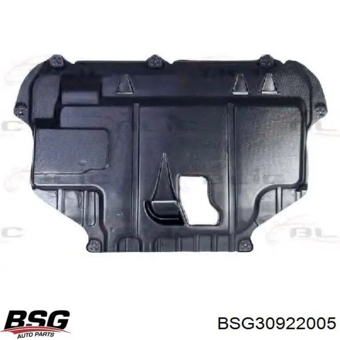 BSG30922005 BSG protección motor /empotramiento