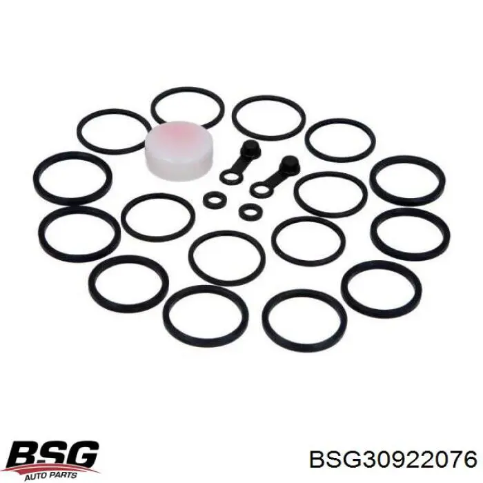 BSG30922076 BSG varilla de nivel de aceite