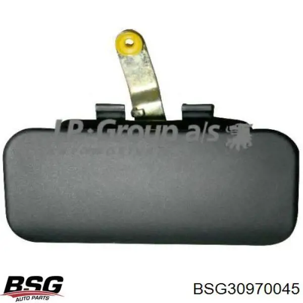 BSG30970045 BSG manecilla de puerta, equipamiento habitáculo, delantera izquierda