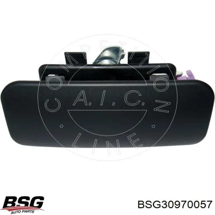 Manija exterior derecha de puerta corrediza BSG BSG30970057 precio, desde 24,62 EUR