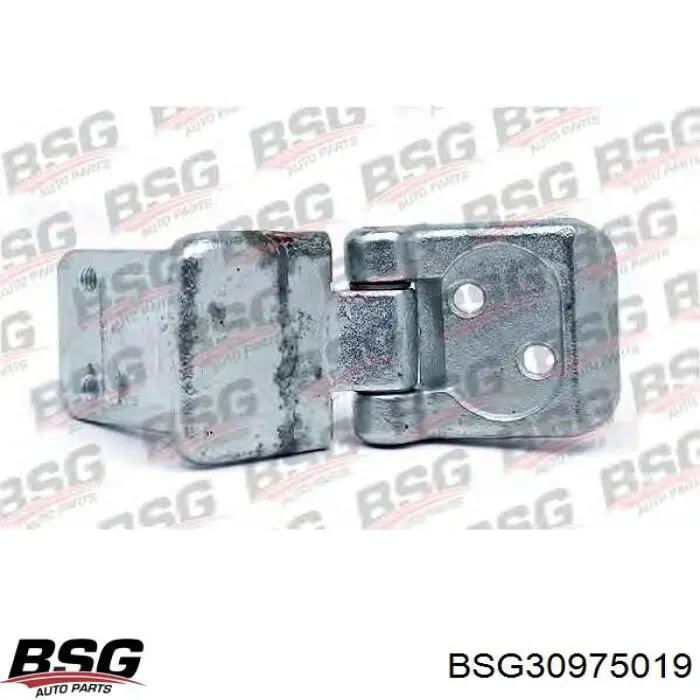 Comprar BSG30975019 BSG Bisagra superior derecha de puerta trasera batiente