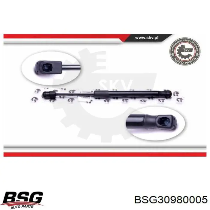 BSG30980005 BSG amortiguador maletero