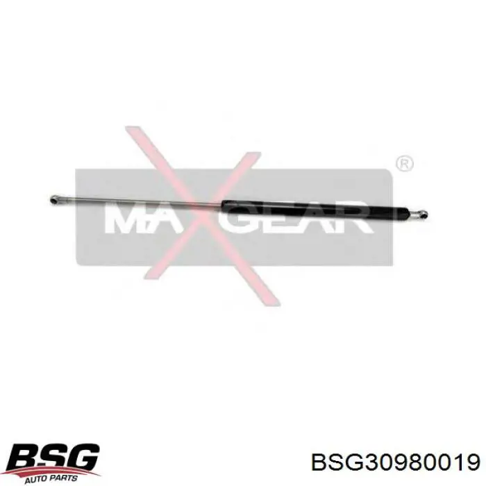 BSG 30-980-019 BSG amortiguador maletero