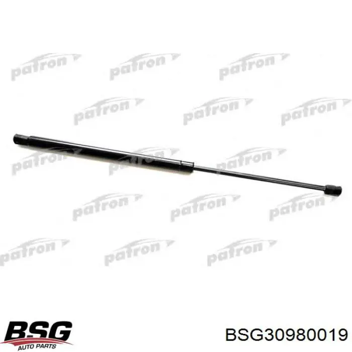 Amortiguador de maletero BSG BSG30980019 precio, desde 13,87 EUR