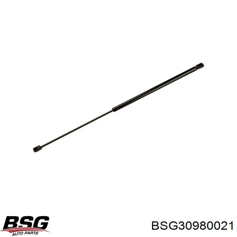 Amortiguador de maletero BSG 30980021 precio, desde 12,93 EUR