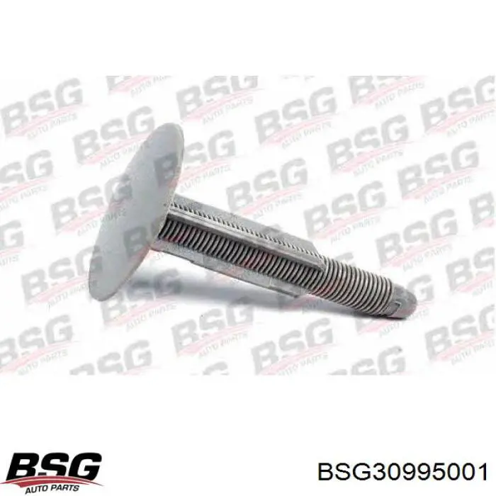 BSG30995001 BSG