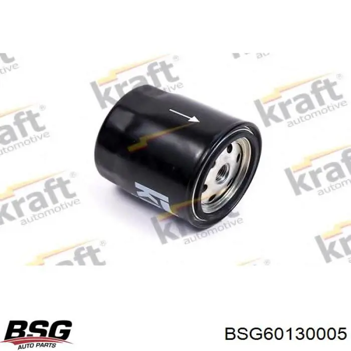 BSG 60-130-005 BSG filtro combustible