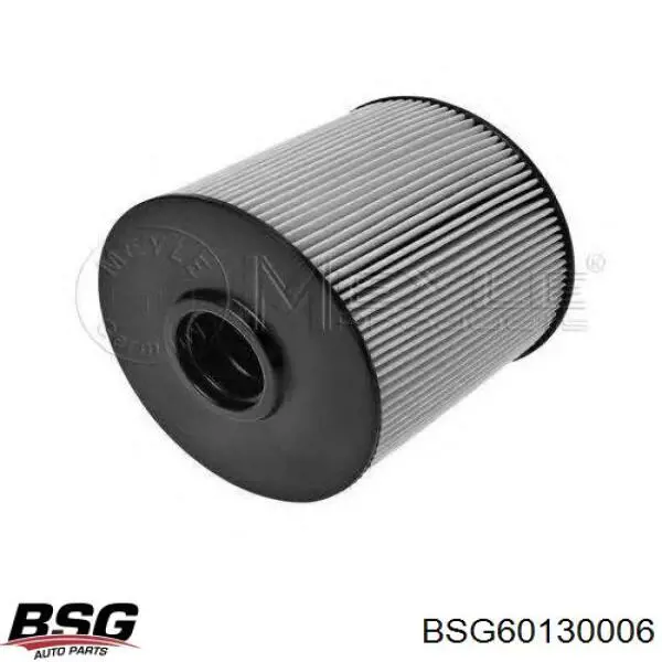 BSG 60-130-006 BSG filtro combustible