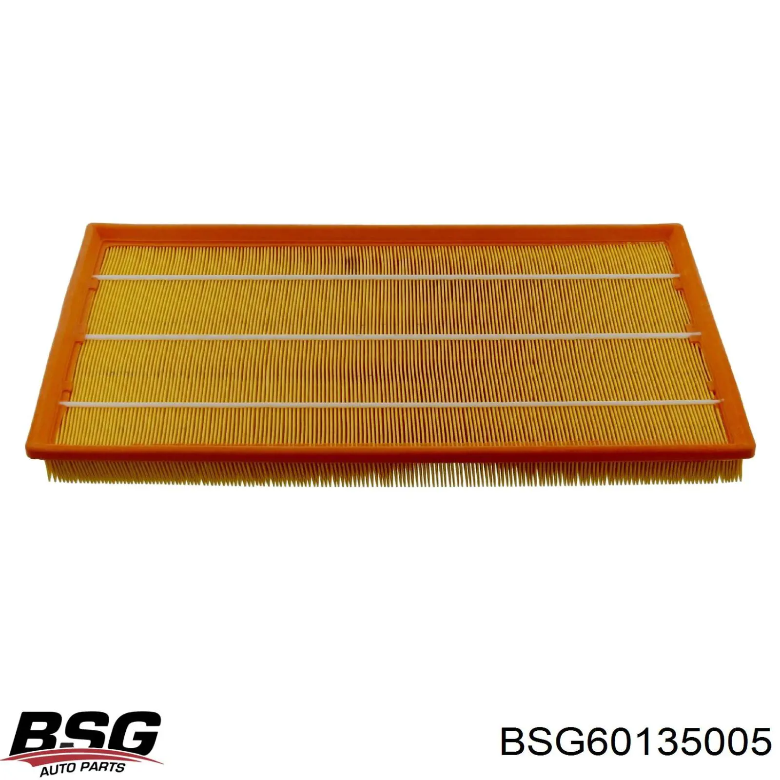 BSG 60-135-005 BSG filtro de aire