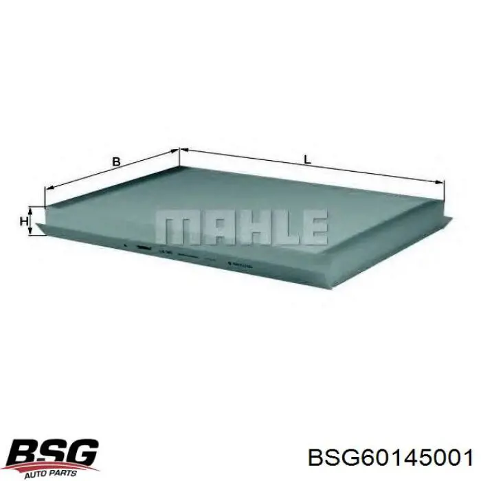 Filtro de habitáculo BSG60145001 BSG