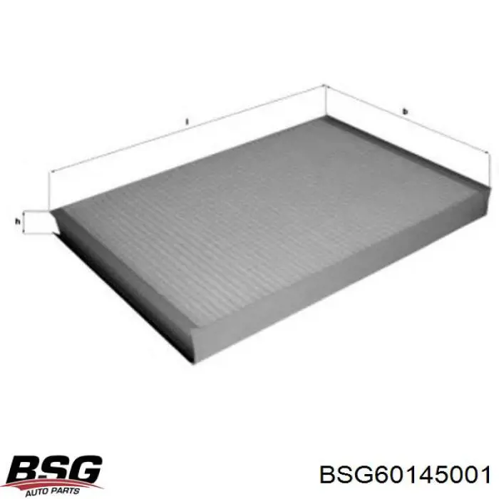 Filtro de polen BSG BSG60145001