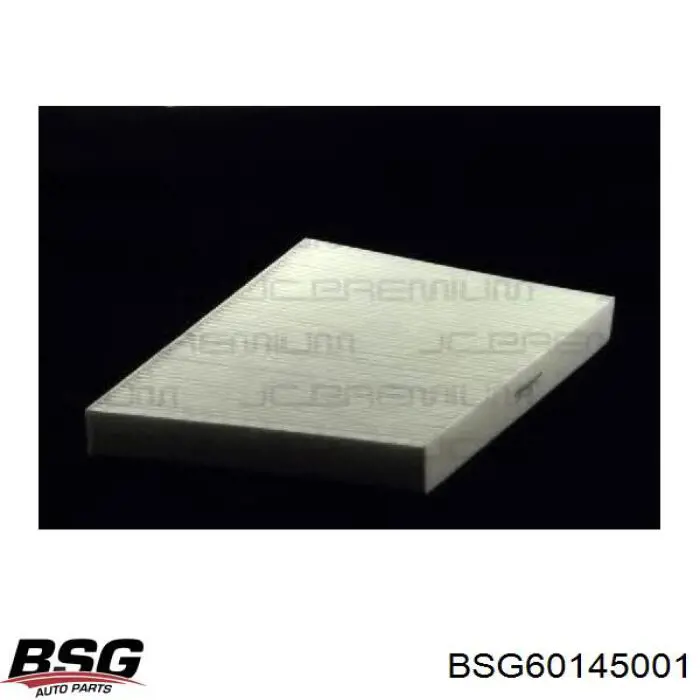 BSG60145001 BSG Filtro antipolen