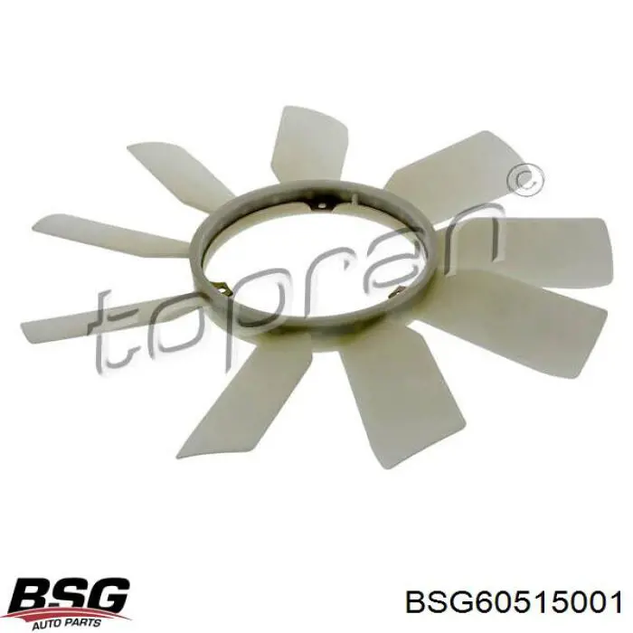 60515001 BSG rodete ventilador, refrigeración de motor