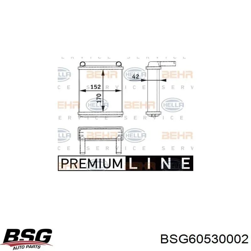 BSG60530002 BSG radiador de calefacción