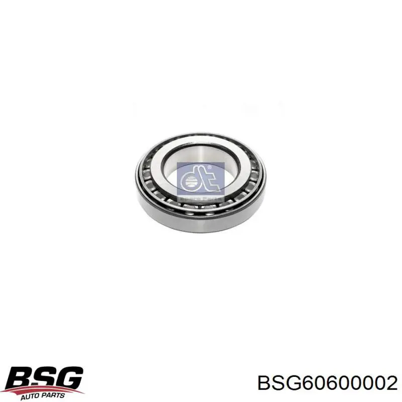 BSG 60-600-002 BSG cojinete de rueda trasero