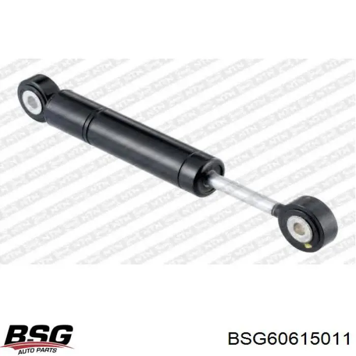 BSG 60-615-011 BSG tensor de correa de el amortiguador